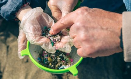 Environmental Applications