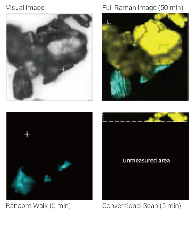 RAMANwalk Comparrison