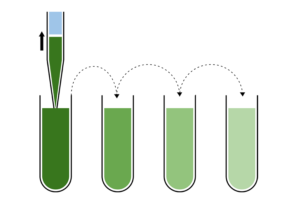 Serial Dilution
