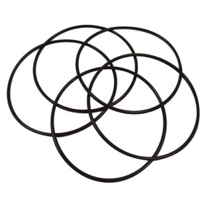 Sample Well O-ring, Viton (pack of 5) - 82150-001